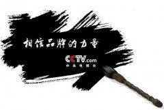 CCTV央视媒体 - 央视 广告投放 的投放 方式 简介