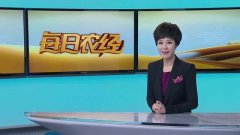CCTV央视媒体 - CCTV-7《每日农经》 广告投放 价格