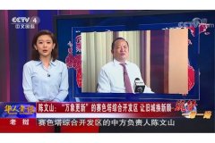 CCTV央视媒体 -  CCTV-4 中午11点时段投放广告价格多少？