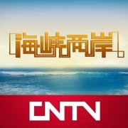 CCTV央视媒体 - 在CCTV-4《 海峡两岸 》广告投放效果如何