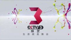CCTV央视媒体 - CCTV-3时段4 广告投放时间 ？