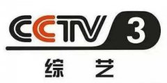 CCTV央视媒体 - 央视三套十点半档栏目 插播广告 多少钱？