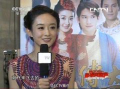 CCTV央视媒体 - CCTV-8热播 剧场 第二集贴片广告价格多少？