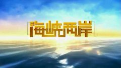 CCTV央视媒体 - CCTV-4《海峡两岸》 广告 投放效果