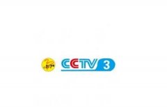 CCTV央视媒体 -  CCTV-3 上午九点档广告刊例价？