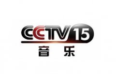 CCTV央视媒体 -  CCTV-15 上午八点多时段投放广告多少钱？