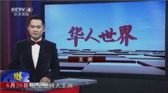 CCTV央视媒体 - CCTV4《华人世界》 广告 价格多少？