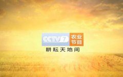 CCTV央视媒体 - CCTV-7 广告 投放价格多少？