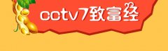 CCTV央视媒体 - CCTV-7《致富经》 广告费用多少 ？