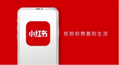 小红书推广 - 为何小红书成了人民 日报 新媒体春节独家视频合