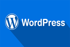 网站建设 - WordPress 建站 教程，如何 快速建站 ？