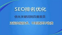 网站建设 - 深圳 网络优化 找谁？关键字 优化 和网站 优化 