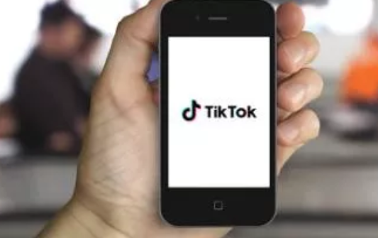 企业出海 - TikTok 发布 透明度报告：印度是删帖 要求 最多的国