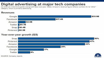 企业出海 - 财报季数据 显示 ：谷歌和脸书对网络 广告 垄断正