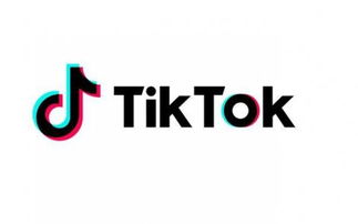 企业出海 - TikTok迎来新对手：硅谷 视频社交 应用Firework在印度