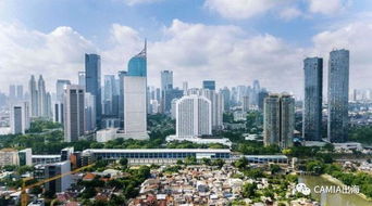 企业出海 - 印尼广告技术 行业分析 