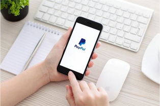 企业出海 - PayPal首席 执行 官：数字支付市场将至100万亿美元