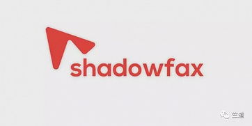 企业出海 - Shadowfax瞄准了中印双向 贸易 中数十亿美元的物流