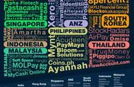 企业出海 - 马来西亚十大快速 成长 的金融科技创企