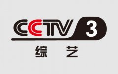 CCTV3的黄金时间投放广告标准费用